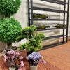Black wine rack, wine rack, wine rack wall mounted